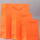 Assorted colour laminated gift bags for corporate gifting in Kenya