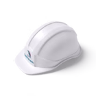 Branded Safety Helmets with Custom Logo Printing Nairobi Kenya.​